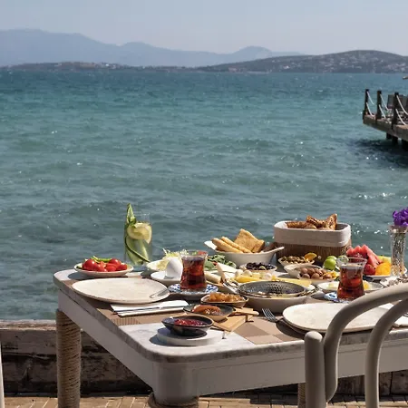 ホテル Nars Ilica Adults Only 12plus Çeşme